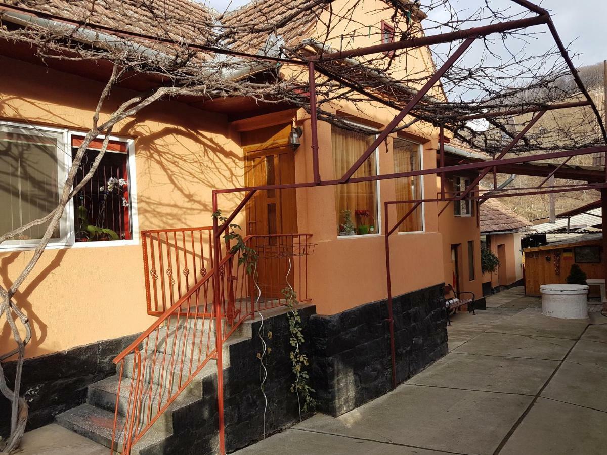 Malancrav Casa De Oaspeti Morii 22 מראה חיצוני תמונה